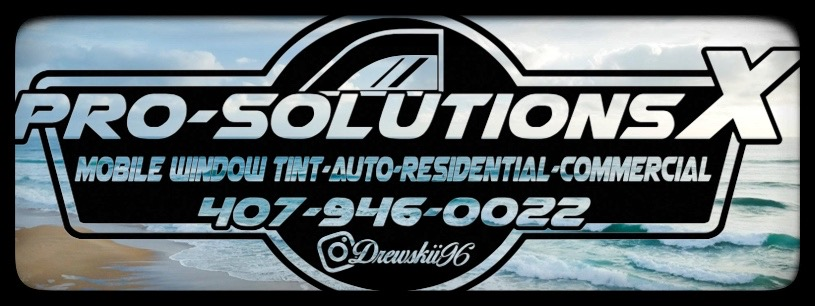 Pro Solutions X, INC